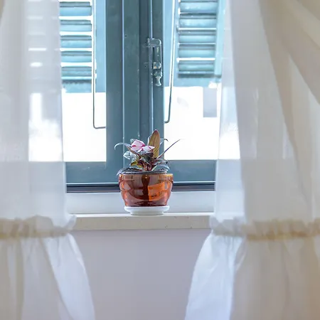 بيت ضيافة Stradun 3*